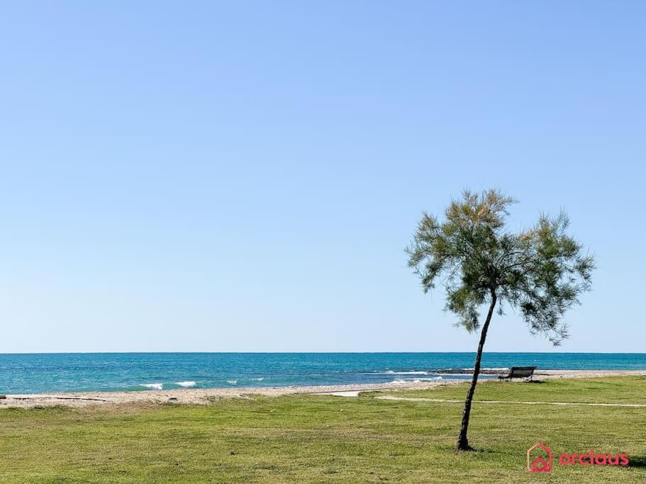 El Jardin Lejlighed Oropesa del Mar Eksteriør billede